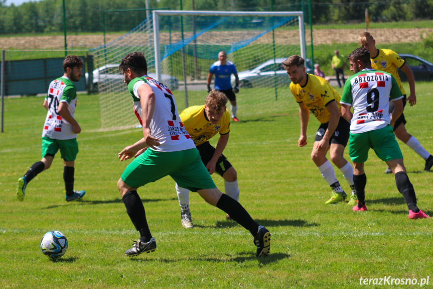 Wisłok Krościenko Wyżne - Brzozovia Brzozów 1:3