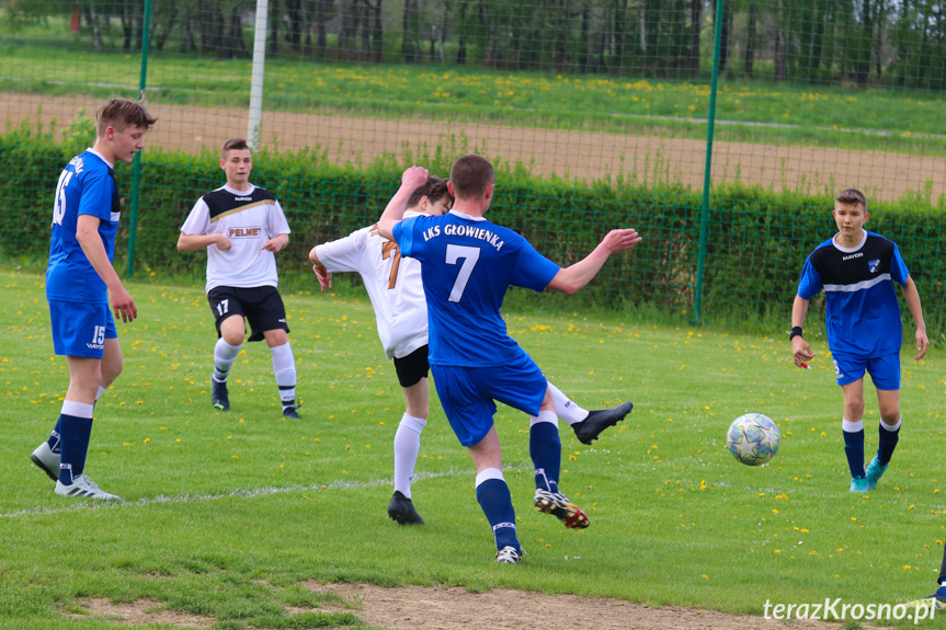 Wisłok Krościenko Wyżne - LKS Głowienka 6-0