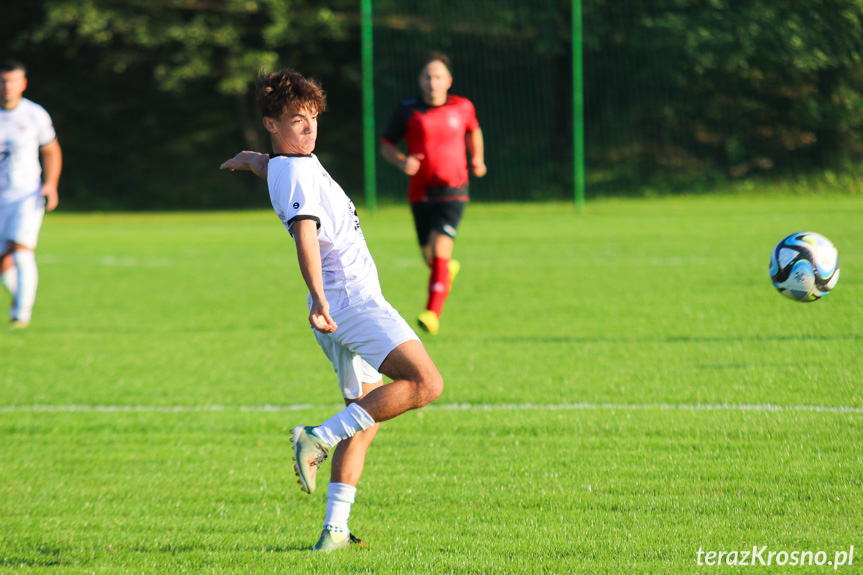 Wisłok Krościenko Wyżne - LKS Golcowa 2-0