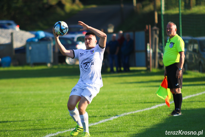 Wisłok Krościenko Wyżne - LKS Golcowa 2-0