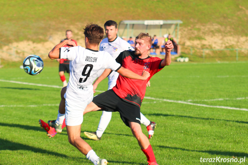 Wisłok Krościenko Wyżne - LKS Golcowa 2-0