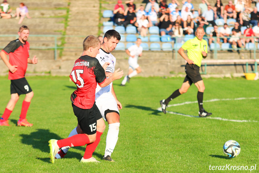 Wisłok Krościenko Wyżne - LKS Golcowa 2-0