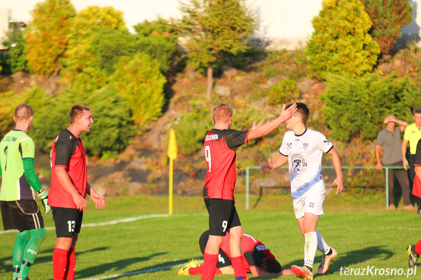 Wisłok Krościenko Wyżne - LKS Golcowa 2-0