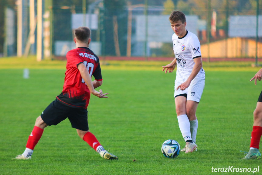 Wisłok Krościenko Wyżne - LKS Golcowa 2-0