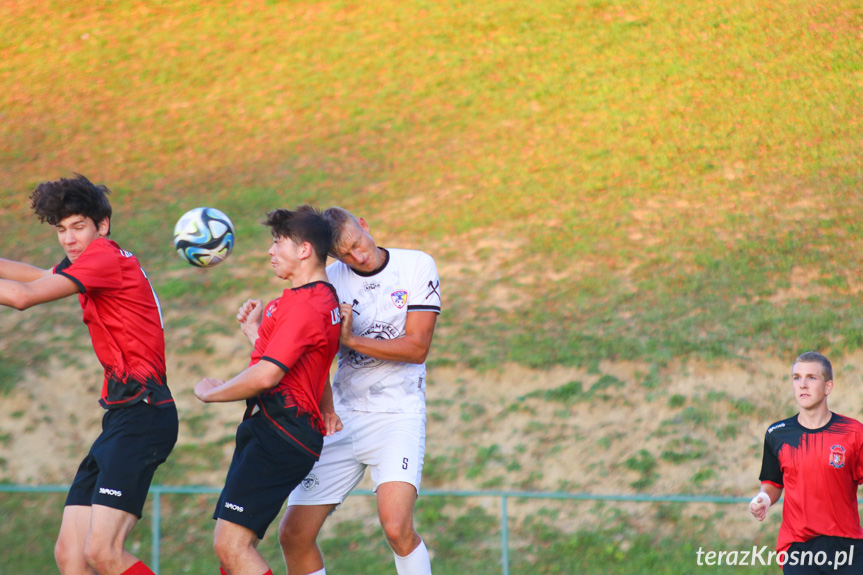 Wisłok Krościenko Wyżne - LKS Golcowa 2-0