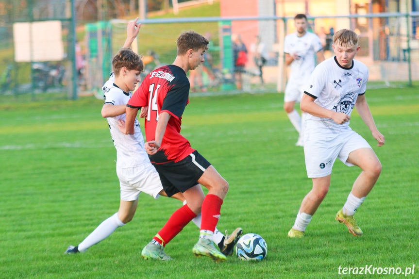 Wisłok Krościenko Wyżne - LKS Golcowa 2-0