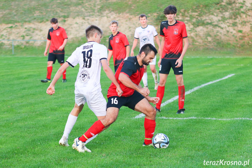 Wisłok Krościenko Wyżne - LKS Golcowa 2-0