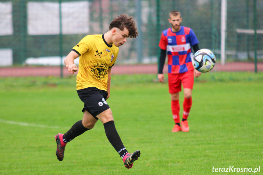 Wisłok Krościenko Wyżne - LKS Lubatowa 1:1