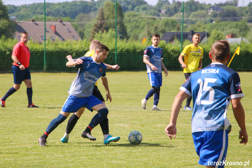 Wisłok Krościenko Wyżne - LKS Wesoła 2:2