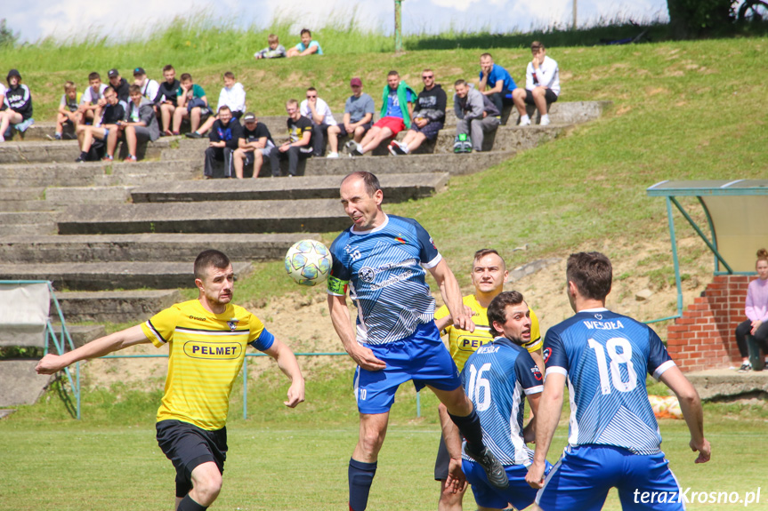 Wisłok Krościenko Wyżne - LKS Wesoła 2:2