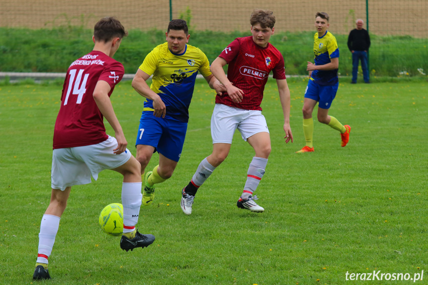 Wisłok Krościenko Wyżne - Rędzinianka Wojaszówka 2-4