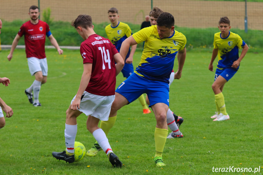 Wisłok Krościenko Wyżne - Rędzinianka Wojaszówka 2-4