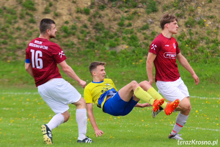 Wisłok Krościenko Wyżne - Rędzinianka Wojaszówka 2-4