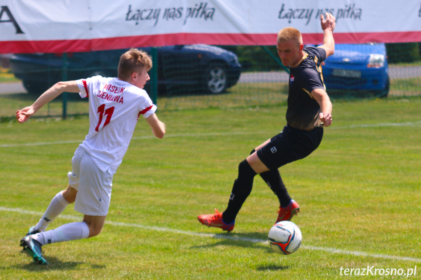 Wisłok Sieniawa - LKS Głębokie 2-2