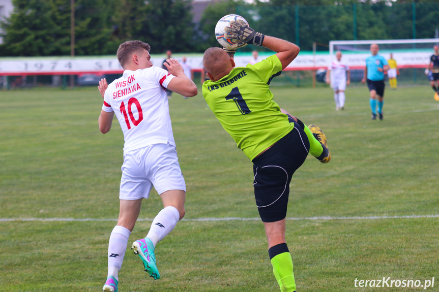 Wisłok Sieniawa - LKS Głębokie 2-2