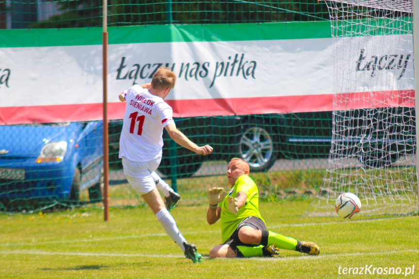 Wisłok Sieniawa - LKS Głębokie 2-2