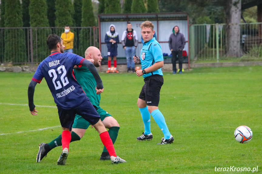 Wisłok Sieniawa - Orzeł Faliszówka 4:2