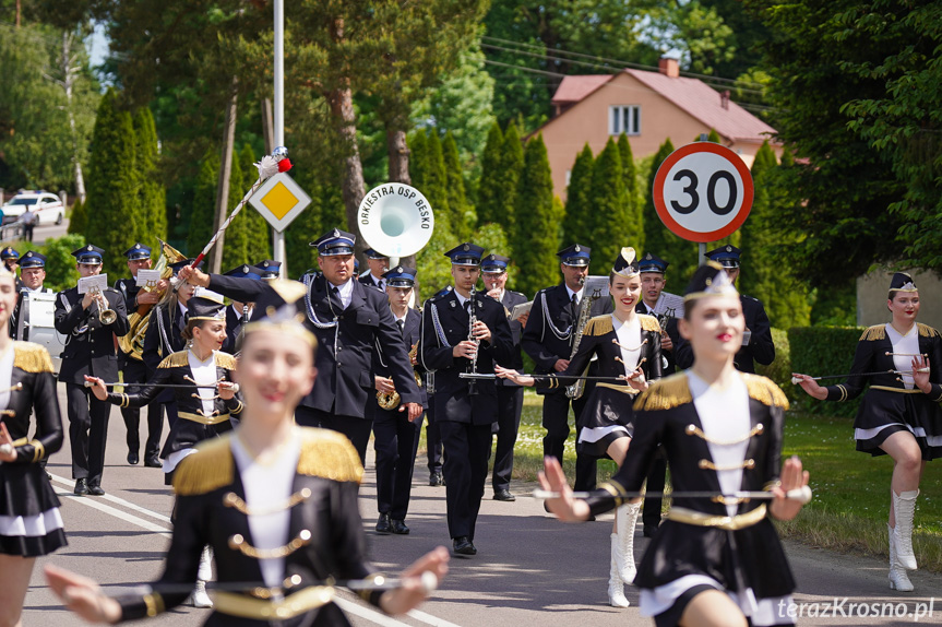 Wojewódzkie obchody Dnia Strażaka w Dubiecku