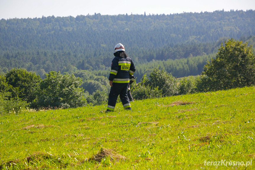 Wypadek w Bałuciance