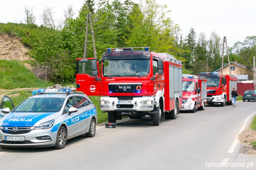 Wypadek w Króliku Polskim