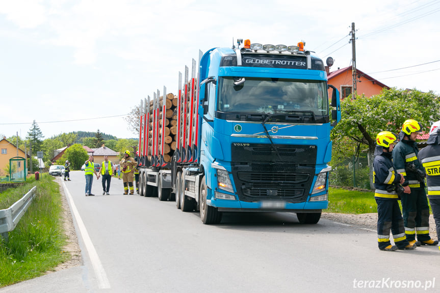 Wypadek w Króliku Polskim