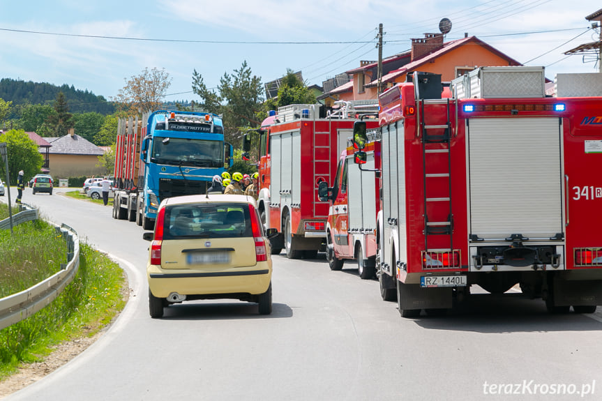 Wypadek w Króliku Polskim