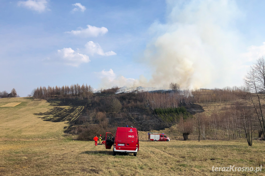 Wypadek w Łazach