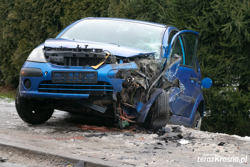 Wypadek w Świerzowej Polskiej