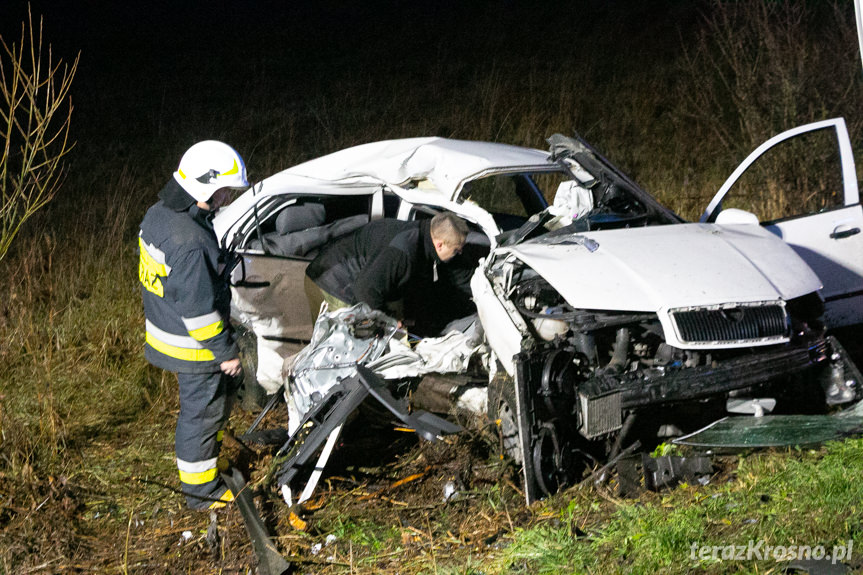 Wypadek w Woli Niżnej