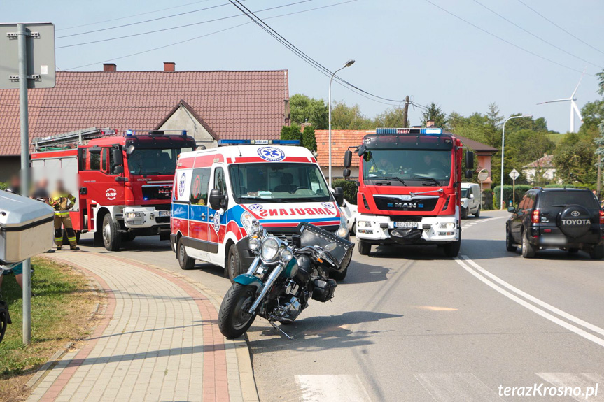 Wypadek we Wróbliku Królewskim