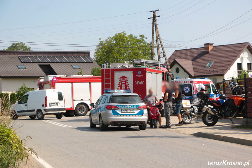 Wypadek we Wróbliku Królewskim