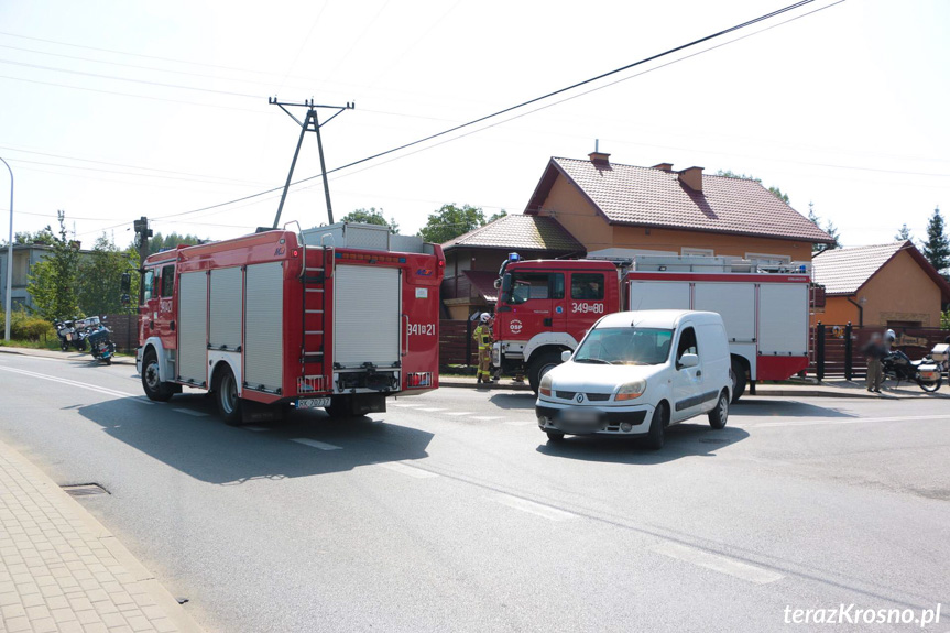 Wypadek we Wróbliku Królewskim