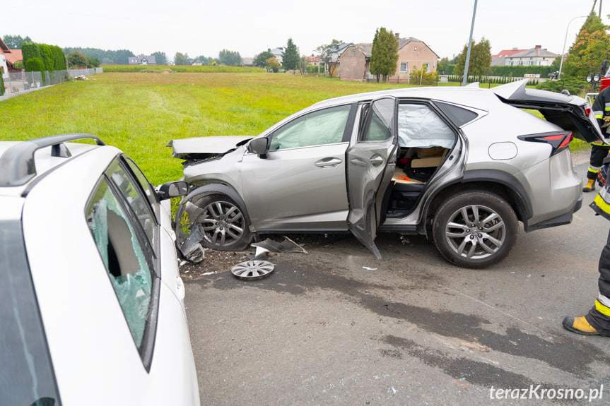 Wypadek we Wróbliku Szlacheckim