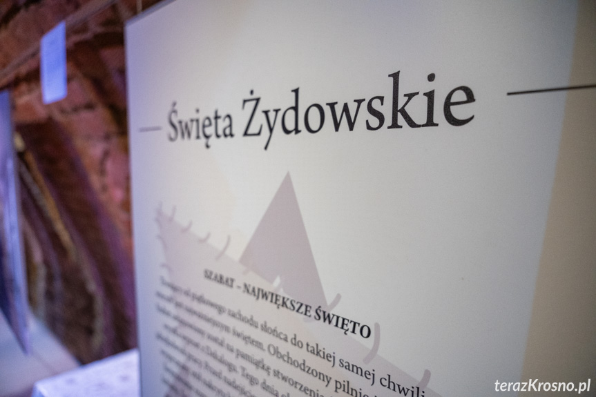 XVI Międzynarodowego Dnia Pamięci o Ofiarach Holocaustu w Krośnie