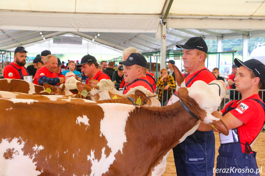 XX Pożegnanie Wakacji w Rudawce Rymanowskiej - 28 sierpnia