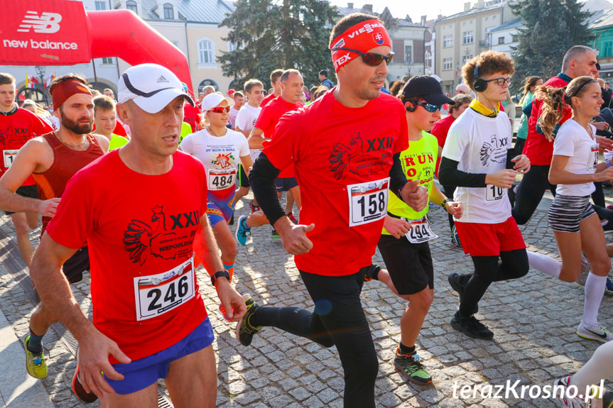 XXII Bieg Niepodległości w Krośnie