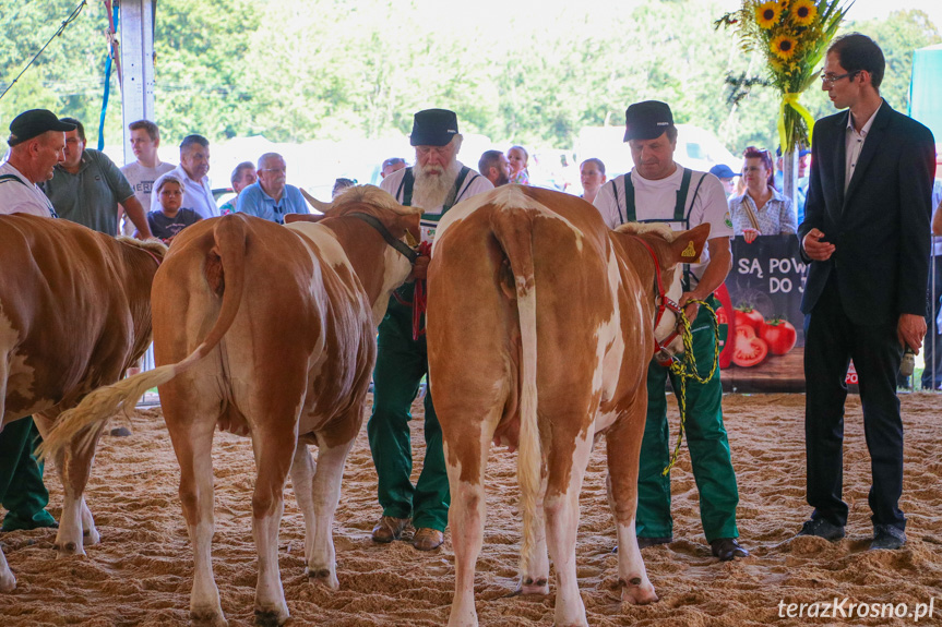 XXIII Pożegnanie Wakacji w Rudawce Rymanowskiej