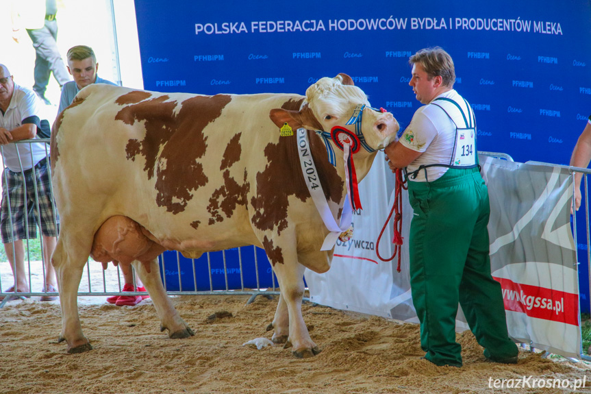 XXIII Pożegnanie Wakacji w Rudawce Rymanowskiej