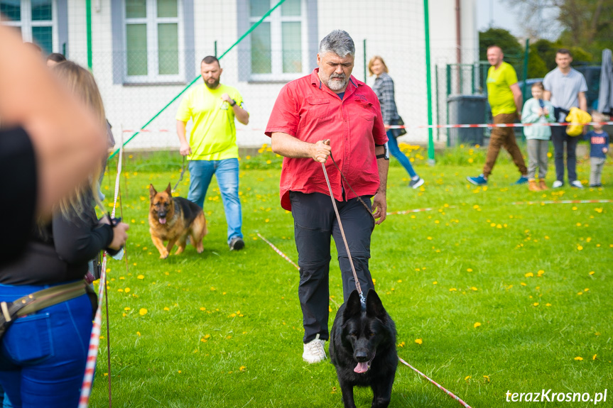 XXXI Podkarpacka Wystawa Psów Rasowych