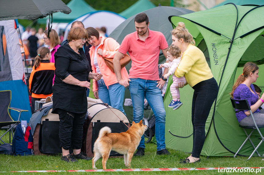 XXXII Podkarpacka Wystawa Psów Rasowych