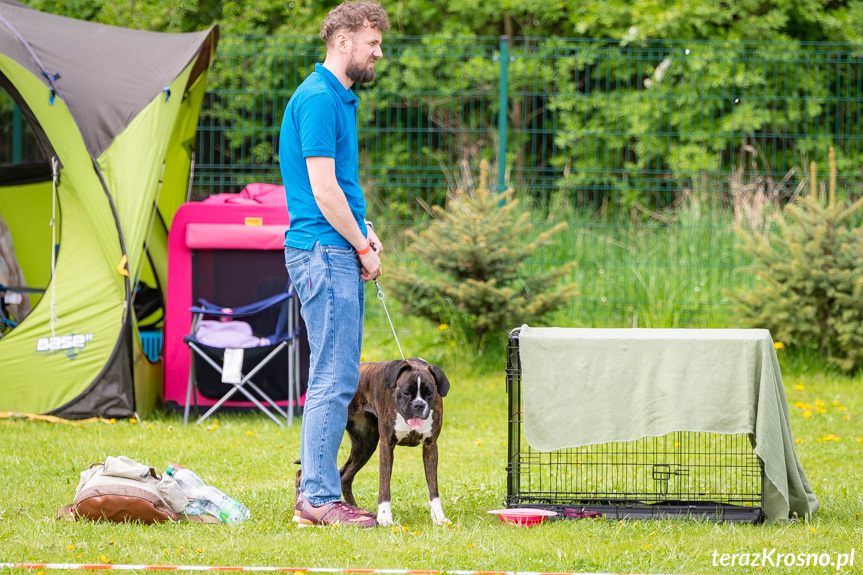 XXXII Podkarpacka Wystawa Psów Rasowych