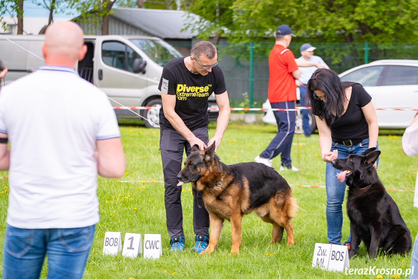 XXXII Podkarpacka Wystawa Psów Rasowych