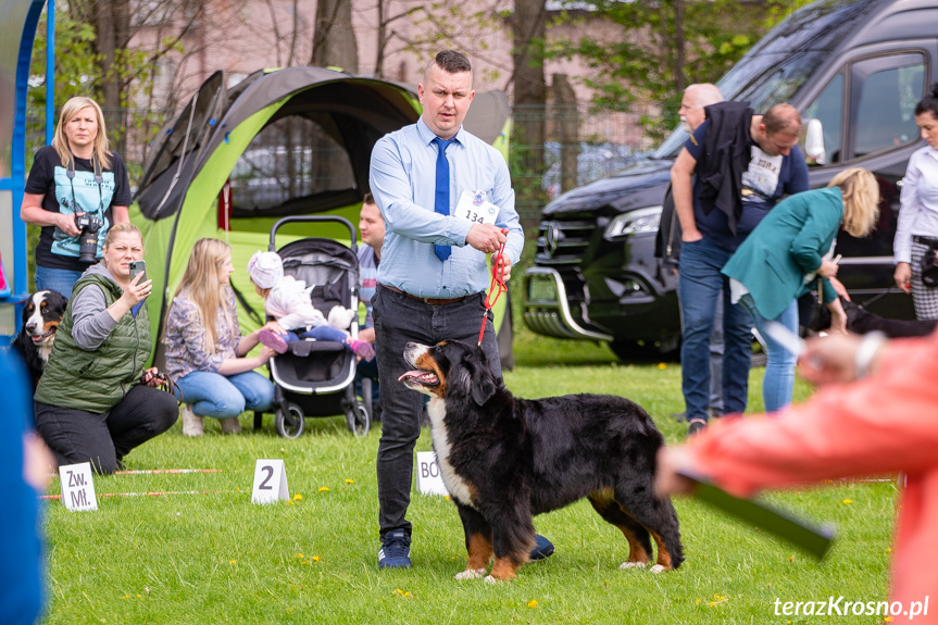 XXXII Podkarpacka Wystawa Psów Rasowych