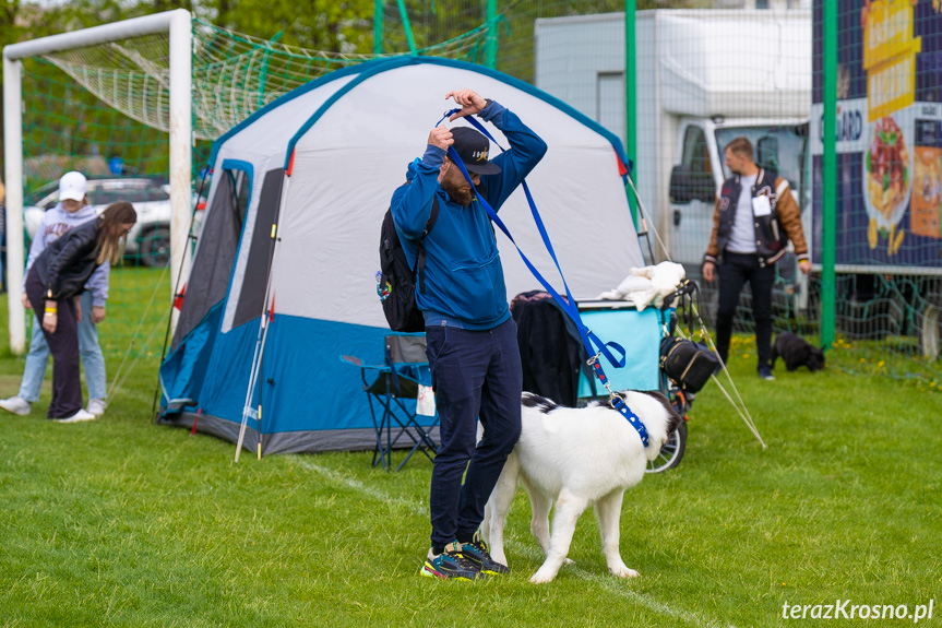 XXXIII Podkarpacka Wystawa Psów Rasowych