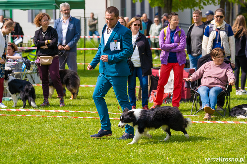 XXXIII Podkarpacka Wystawa Psów Rasowych