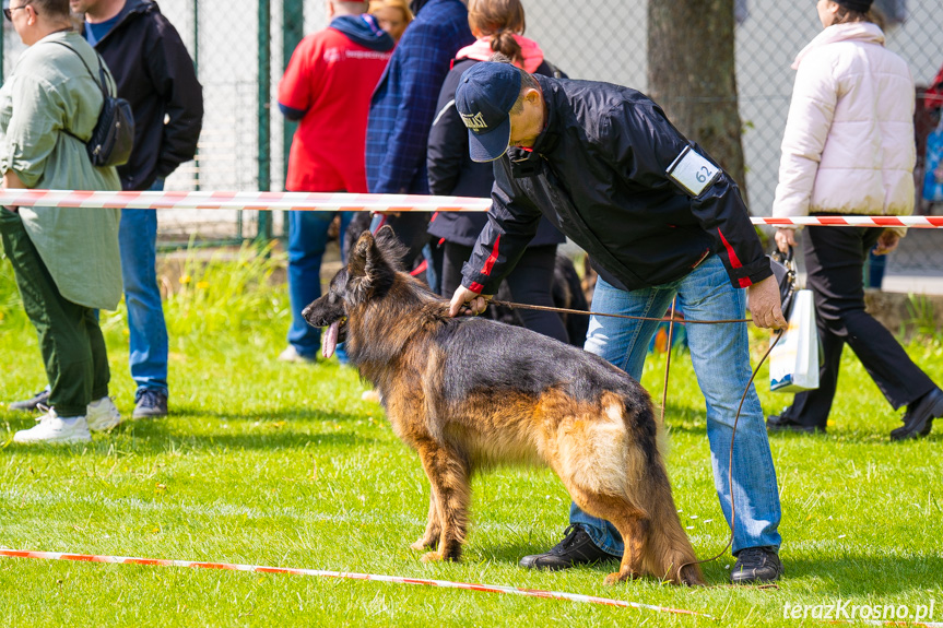 XXXIII Podkarpacka Wystawa Psów Rasowych