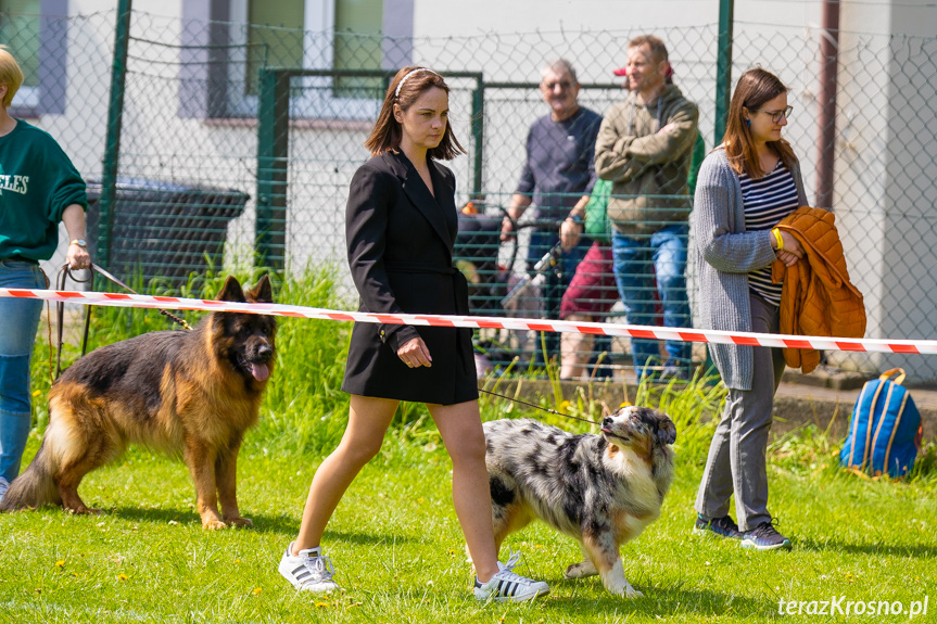 XXXIII Podkarpacka Wystawa Psów Rasowych