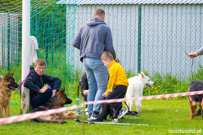 XXXIII Podkarpacka Wystawa Psów Rasowych