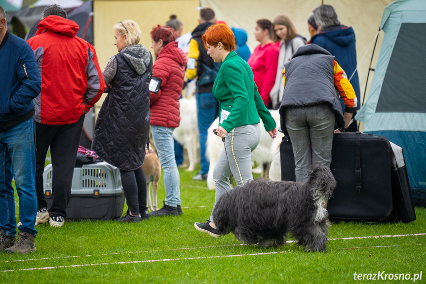 XXXIV Podkarpacka Wystawa Psów Rasowych