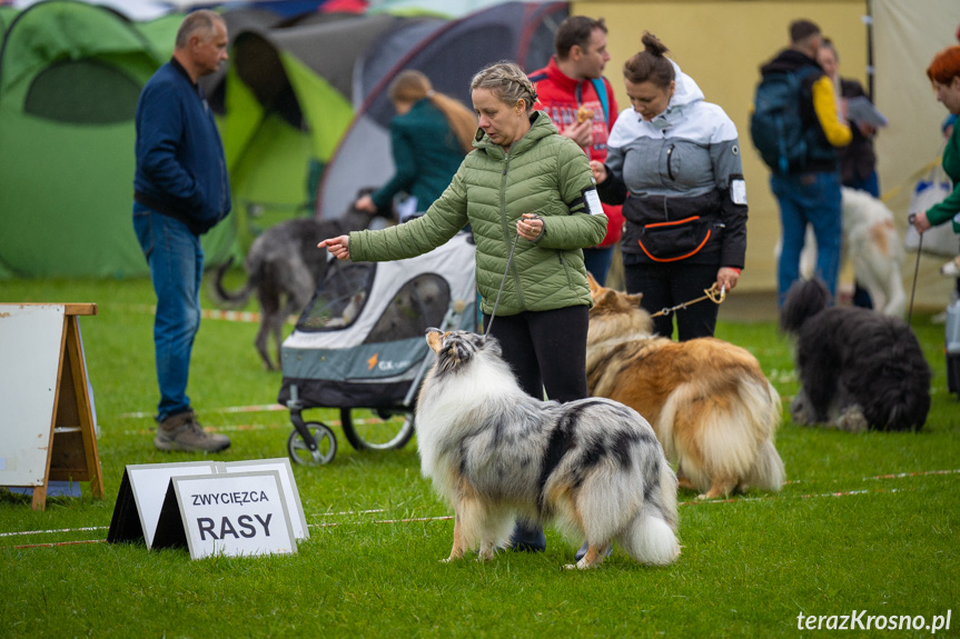 XXXIV Podkarpacka Wystawa Psów Rasowych